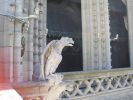 PICTURES/Paris - The Towers of Notre Dame/t_Gargoyle1.jpg